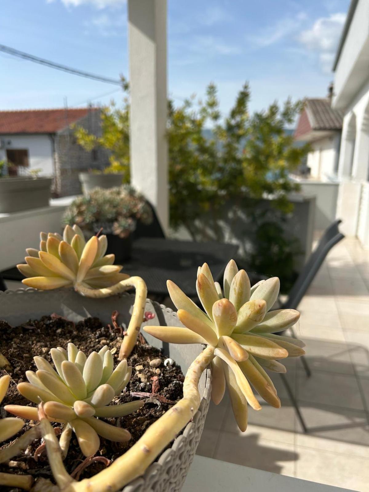 Grgic Apartment Trogir